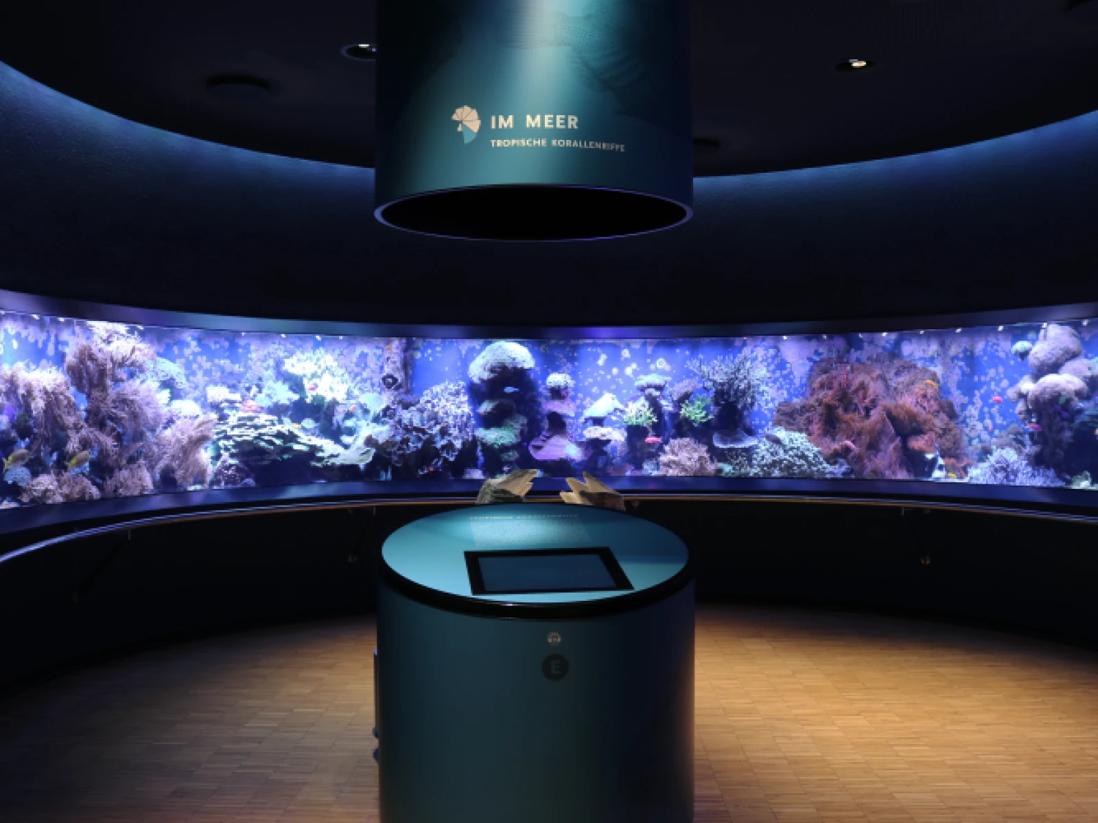 Tagesfahrt in den Aquazoo Löbbecke  Düsseldorf am 20. Oktober 26
